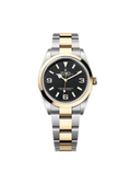Explorer 36 Oyster, 36 mm, Oystersteel and yellow gold