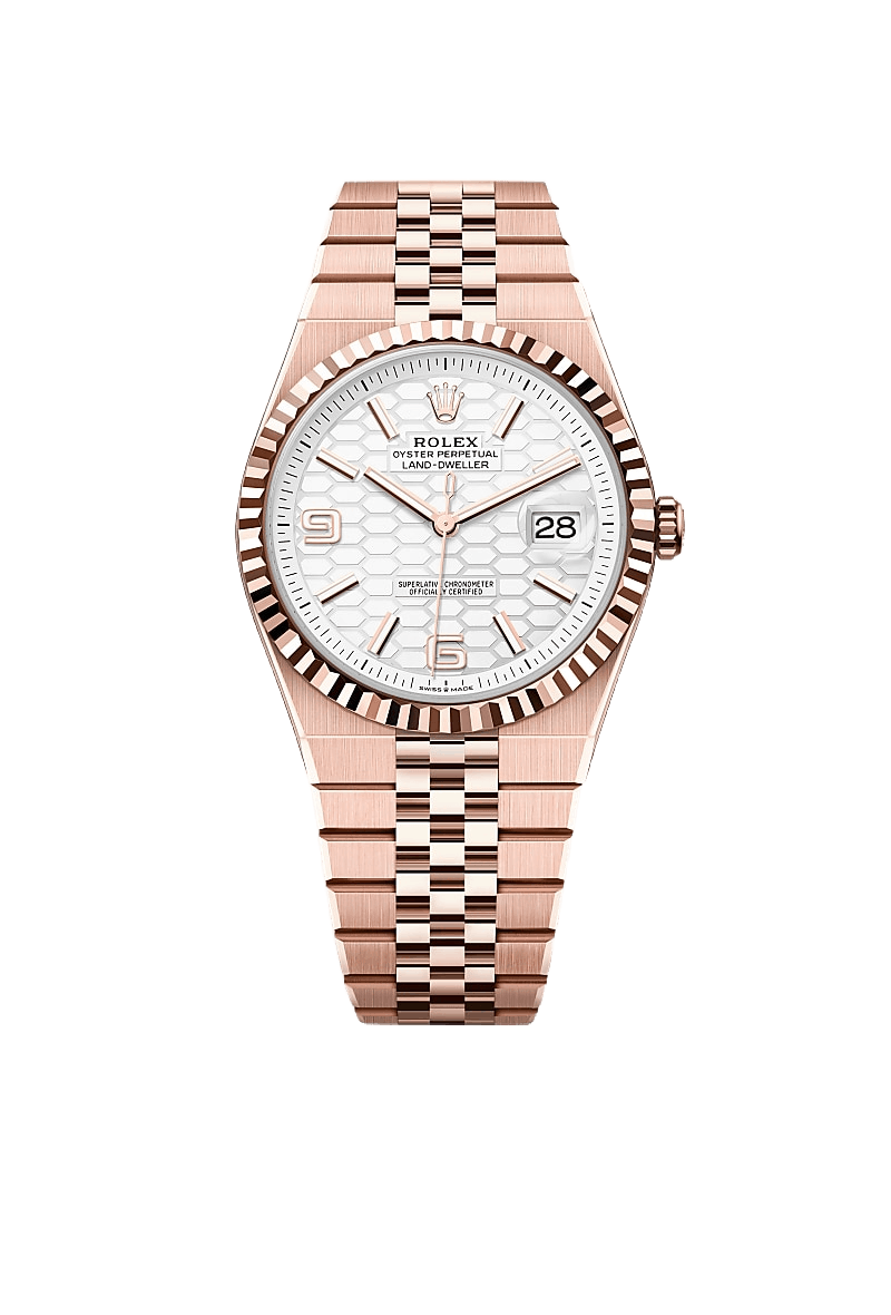 Land-Dweller 40 Oyster, 40 mm, Everose gold