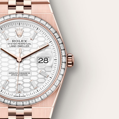 Land-Dweller 36 Oyster, 36 mm, Everose gold and diamonds