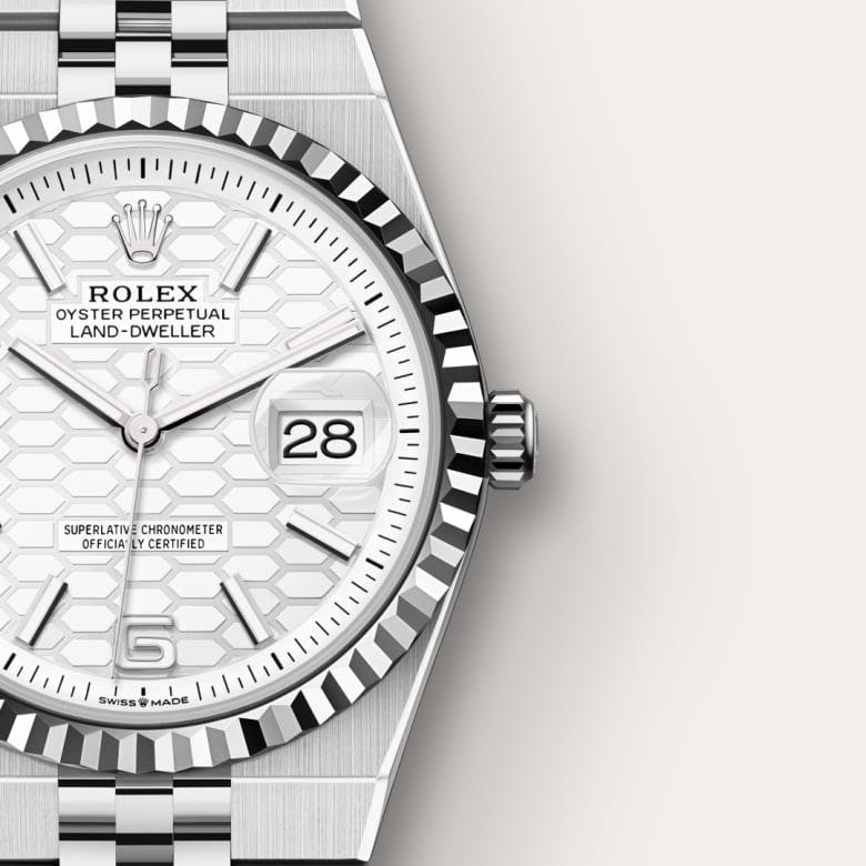 Land-Dweller 36 Oyster, 36 mm, Oystersteel and white gold