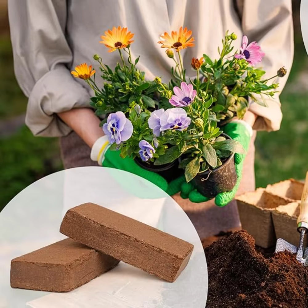 Reptile Bedding Compressed Coconut Coir Brick 500g Desalted Coco Peat Succulent Plant Growing Substrate Soil Mix
